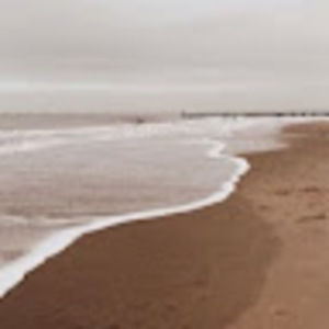 Meet your Posher, Ella